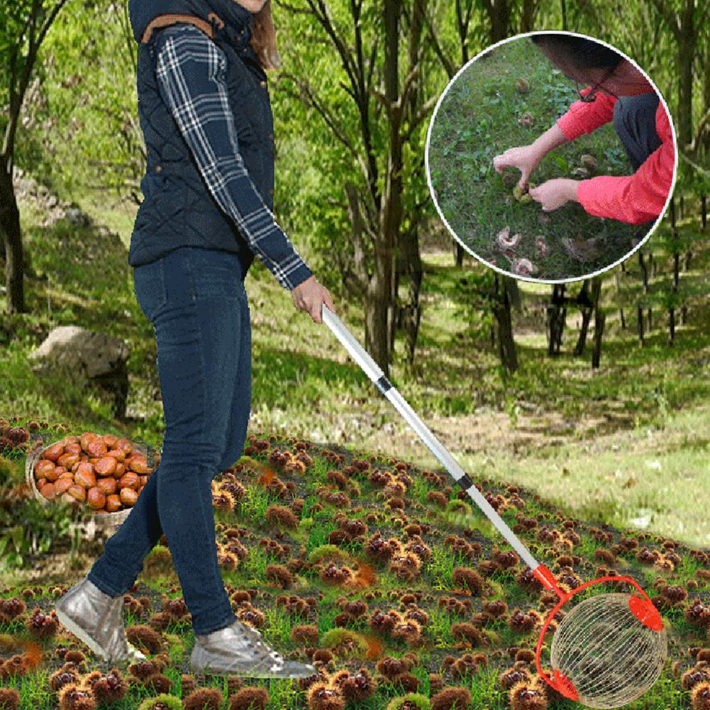 Cosechadora de nueces y castañas, rodillo retráctil para recoger tuercas, Bola de aleación de aluminio, recolector de frutas de jardín, herramienta para Orchards familiares