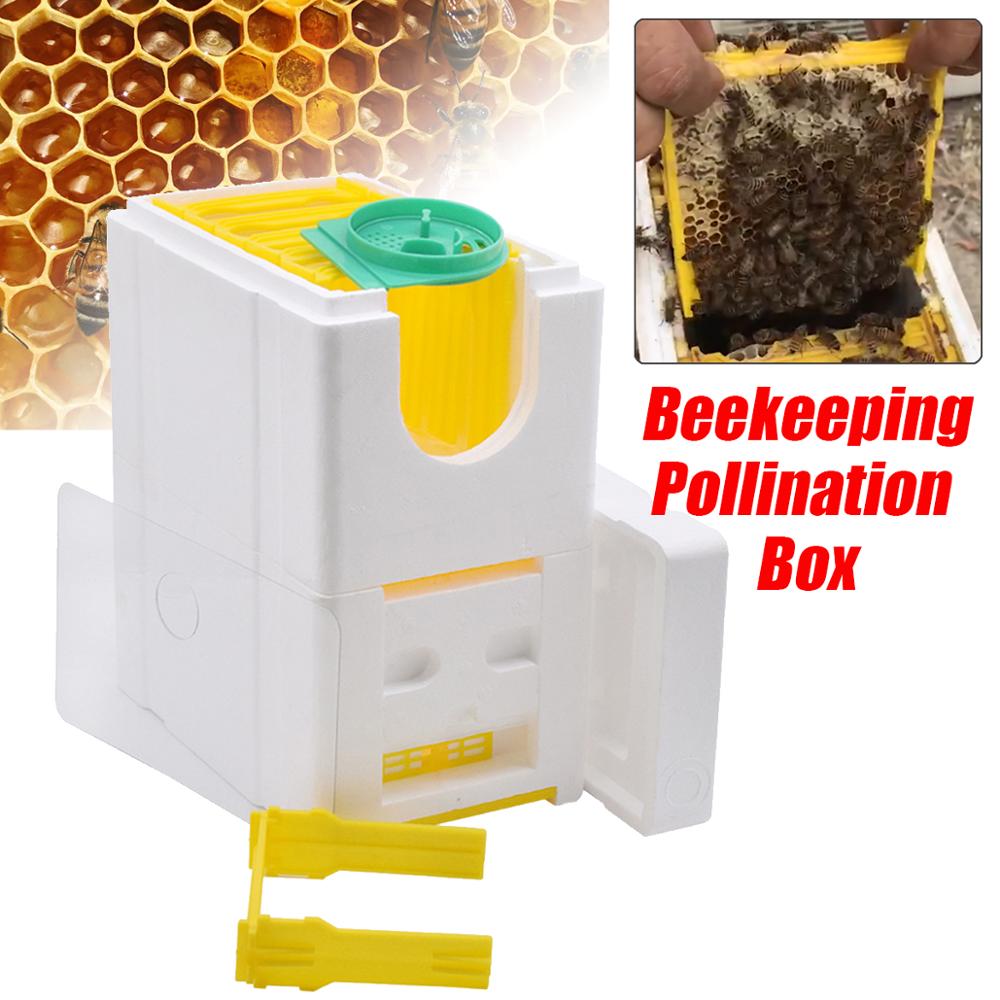 Caja de cría de abejas automática, suministros de espuma de colmena, herramienta de doble capa
