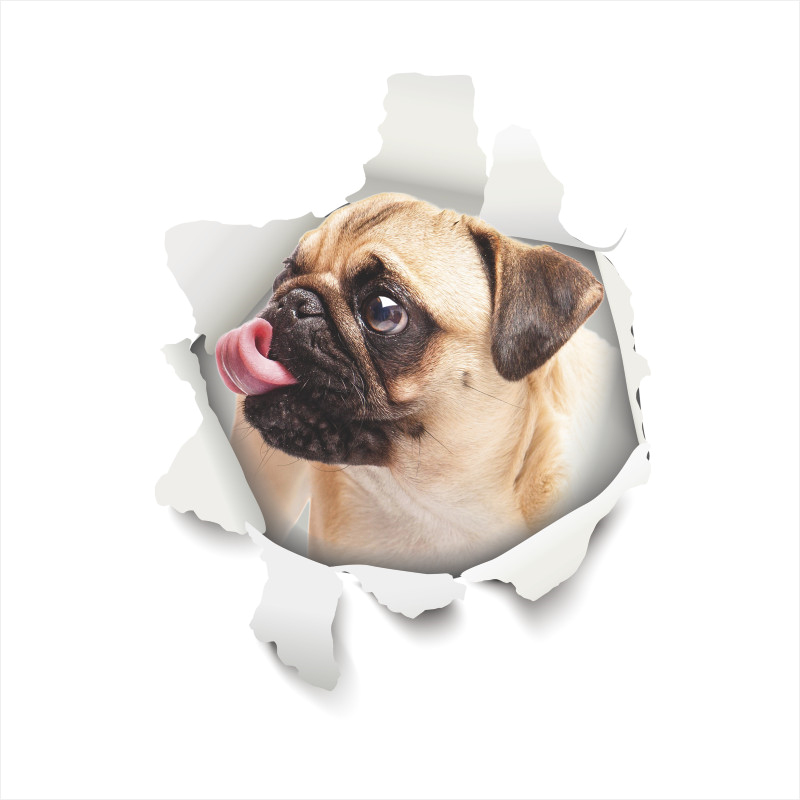 Leuke Hond Kat 3d Gebroken Gat Wc Stickers Voor Wasruimte Huis Decoratie Diy Ainimals Muurschilderingen Cartoon Puppy Kitten Kids decal: GTP023AE