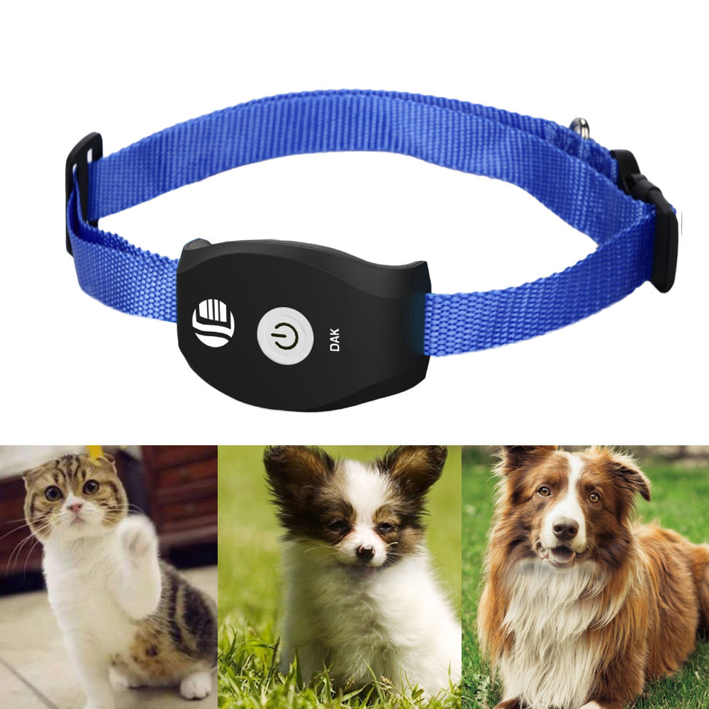 HUISDIER Realtime GPS/GSM Tracker Systeem Voor Katten Honden GRATIS APP Voor Mobiele Hond Kat