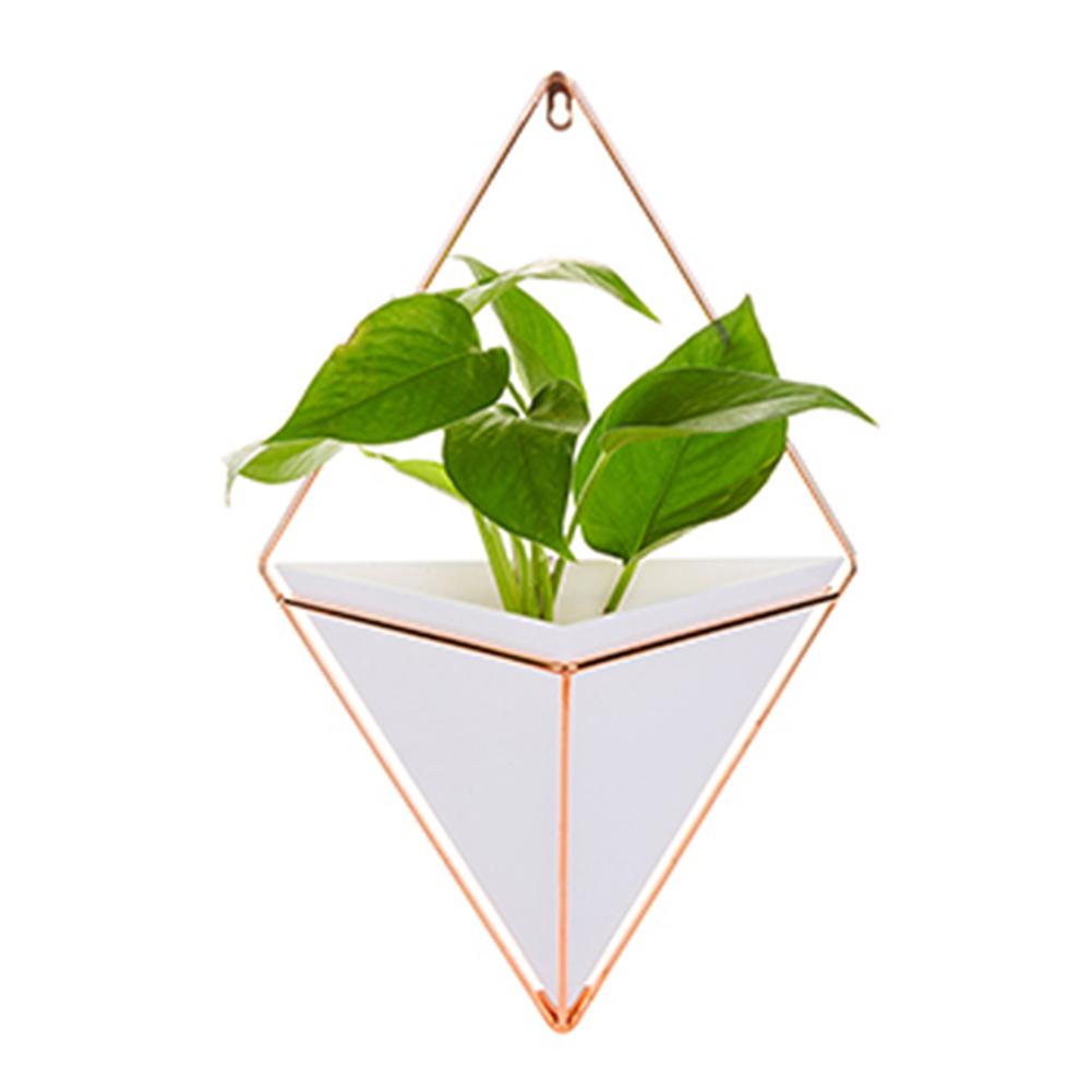 Maceta de acrílico + soportes de plantas de hierro Set de macetas colgantes para interiores jarrón geométrico decoración de pared contenedor macetas de plantas carnosas
