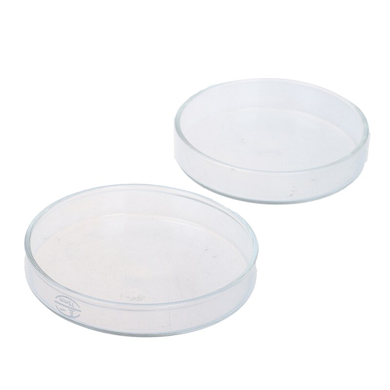Plato de cristal transparente de gambas para comer, bandeja alimentadora de comida, contenedor redondo para acuario