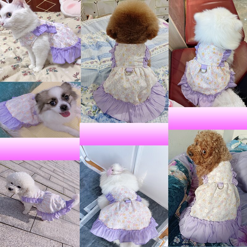 Sukienka dla małych psów kot chihuahua pieska spódniczka dla szczeniaka Yorkies pomorska odzież Shih Tzu maltańnarty Bichon pudel sznaucer zwierzę domowe ubranie