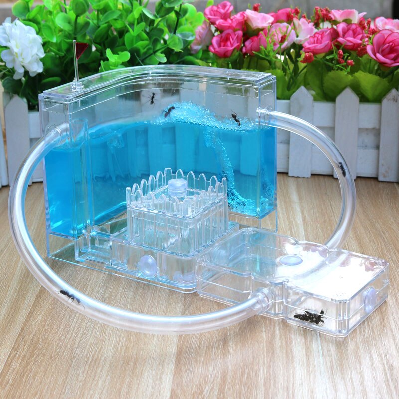 Ant Workshop House for Pet Villa Farm Ant Nest Castle Home formicarim