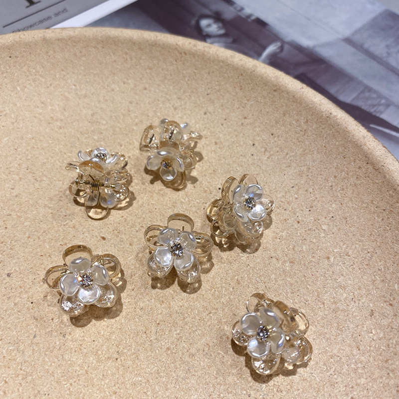 Coleteros geométricos minimalistas coreanos para mujer, pinza para cabello de flores, diamantes de imitación, transparente, pequeño, cangrejo, para