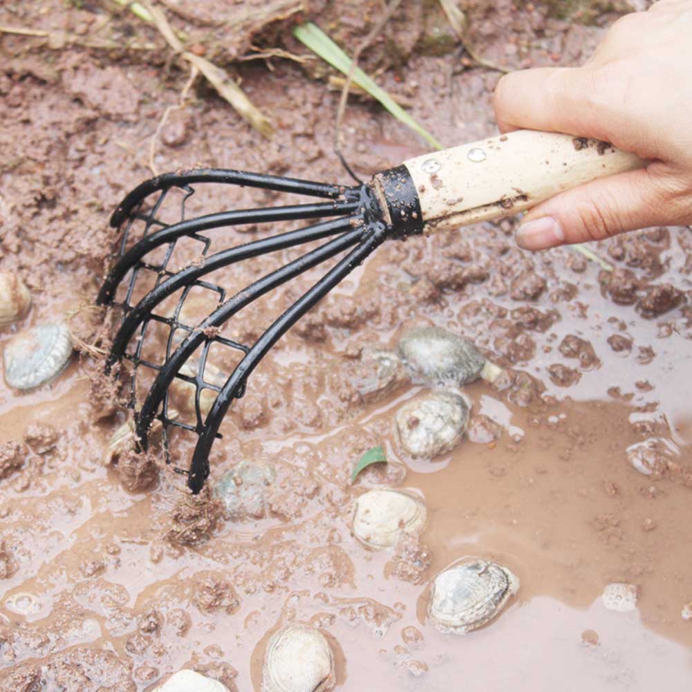 Rastrillo de almeja con mango de madera y concha de playa, accesorio útil para el jardín, 5 pinzas