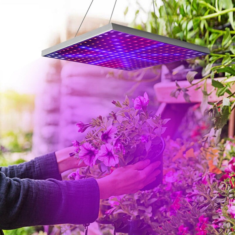 LED Grow Tent Lamp 1000W LED Grow Light Panel Phyto Lamp For Plant Full Spectrum Led Lights For Indoor Growing Flowers Herbs