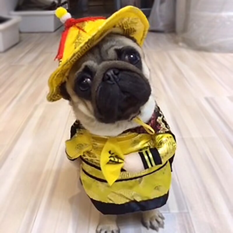 Sjovt kat kostume qing-dynastiet kinesisk kejser cosplay tøj til hunde halloween xmas kæledyr beklædning