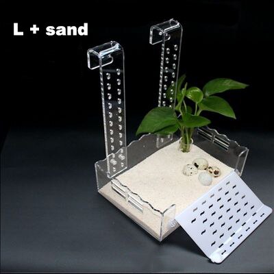 Turtle Basking Platform Height-Adjustable Hanging Amphibian Platform Fish Tank Aquarium Platform Tortoise Resting Terrace: 7S