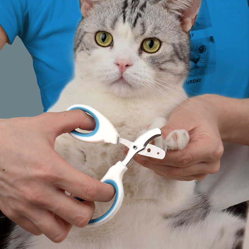 Cortauñas para mascotas, cortador de garras para cachorros de acero inoxidable para perros y gatos pequeños, tijeras para uñas para gatos, cortaúñas para el cuidado