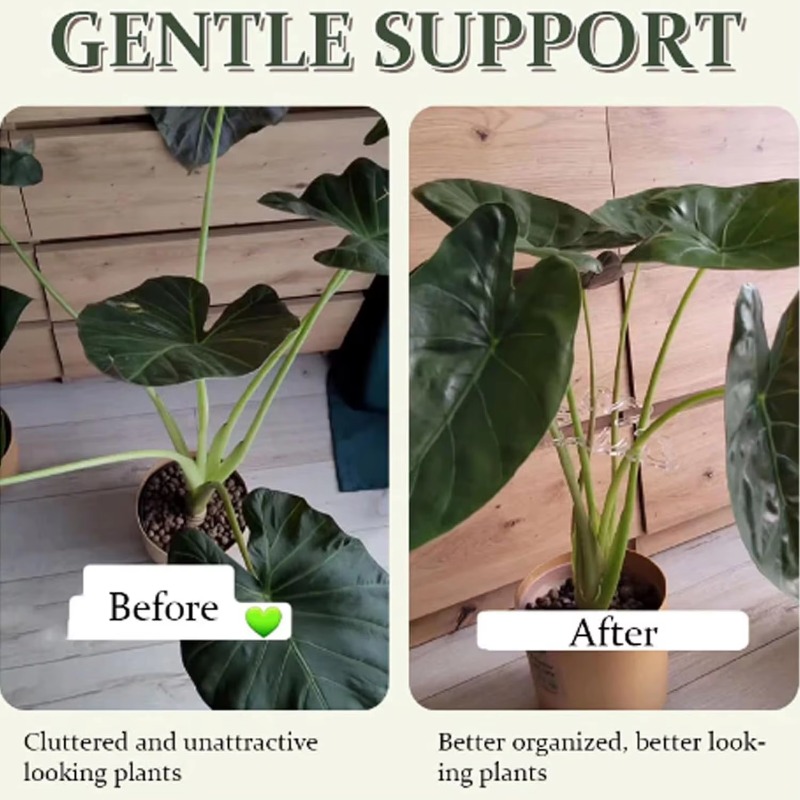 Turtle Shell Bamboo Clamp Set Monstera Grapple Plant Unique Aesthetic Monstera Plant Support Keeps Plants Tame Growing Vertical