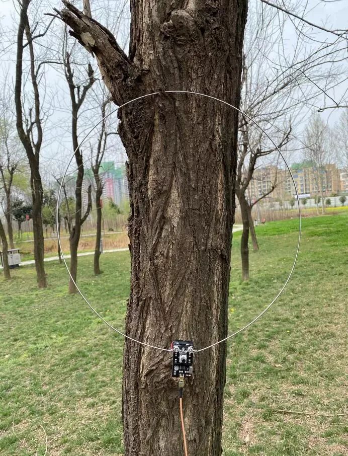 Active Small Loop Antenna Short Wave Loop Antenna NE592 For SDR Receiver Antenna Amateur Radio RX Only HF AM MW AM