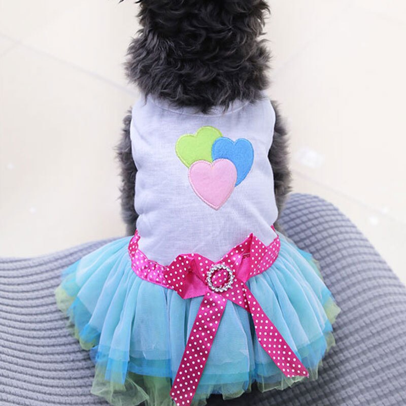 Jurk Voor Kleine Honden Hond Kleding Puppy Sweety Prinses Jurk Mooie Kant Rok Chihuahua Lente Zomer Kostuum Dierbenodigdheden: Blauw / L