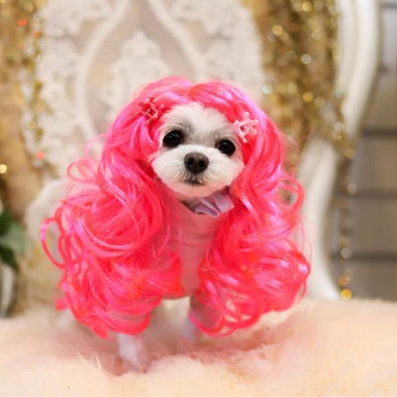 [Mpk Kat Pruiken] Roze Kat Pruik, Huisdier Pruik, Grappige Pruik, Roze Krullend Haar Voor Huisdieren