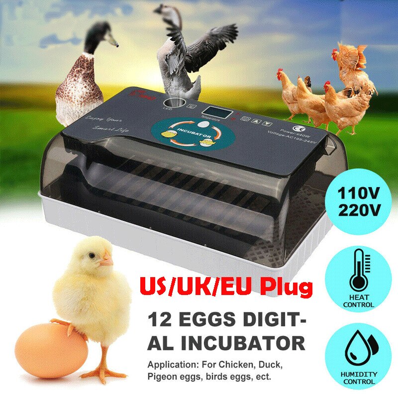 4-35Eggs Incubator LED Fully Automatic Turning Chicken Poultry Egg ...