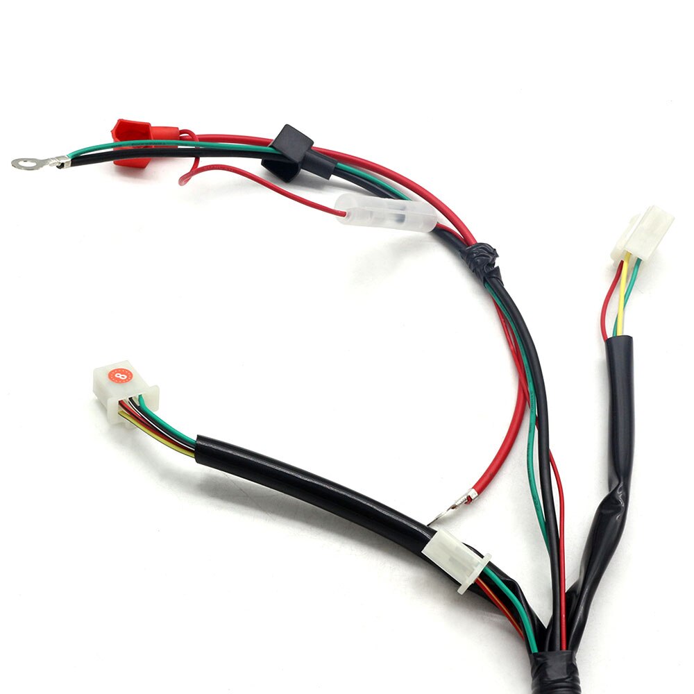 Wireloom Wiring Harness Assembly For Scooter 50cc 110cc 125cc 150cc 200cc 250cc Dirt Atv Quad Bike Buggy Dune
