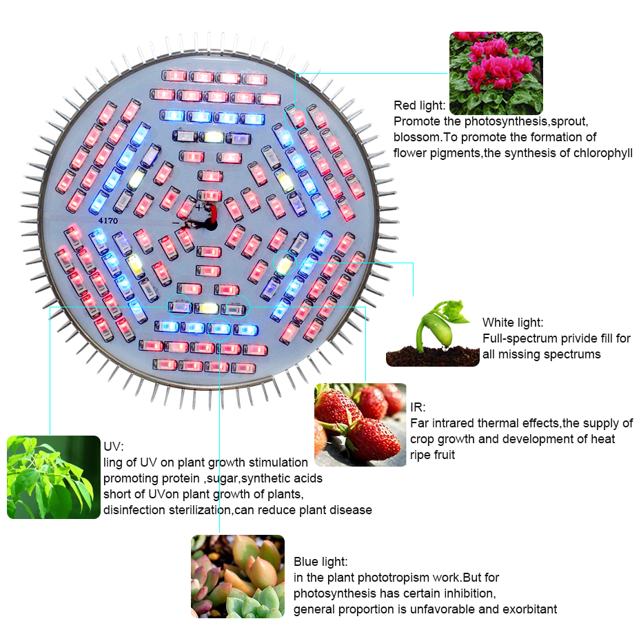 Grow Led E27 Phyto Lamp 10W 30W 50W 80W E27 Led Grow Light Volledige Spectrum Fitolampy ac85-265V SMD 5730 IR Uv Led Lampen Voor Planten