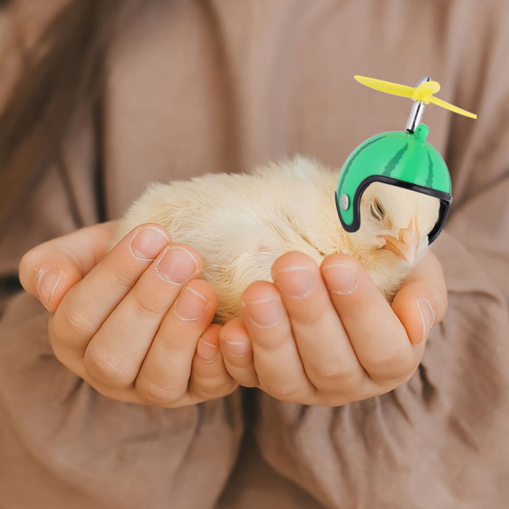 Grappige Kippenhelm - 2 stuks - Dierenbeschermingsmateriaal - Zon- en Regenbescherming - Vogel Kostuums Accessoires: Watermeloenpatroon