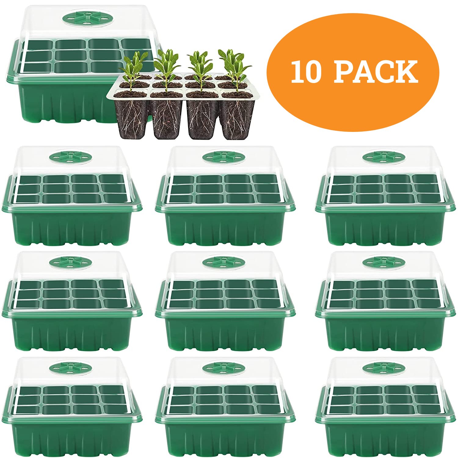 6/12 Cells Seed Starter Kit Plant Seeds Grow Box cSeedling Trays Germination Box with Dome and Base for Seeds Growing Starting