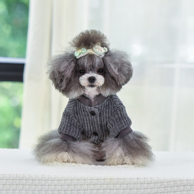 Pet Hooded Trui Hond Jas Herfst Winter Eenvoudige Britse Stijl Warme Katoen Dikke Chihuahua Puppy Kostuum Blauw Grijs Huisdier Kleding