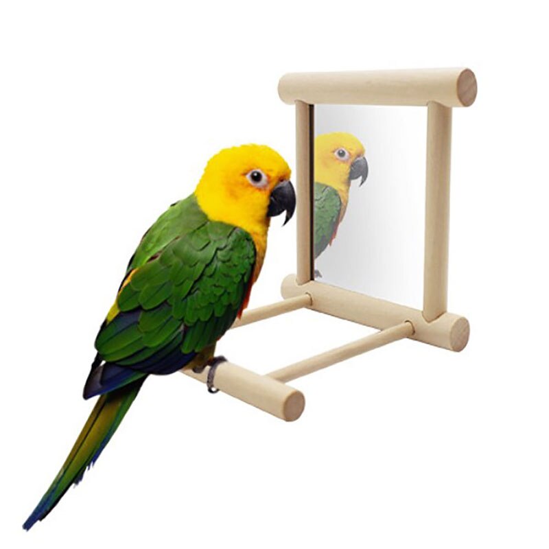 Hamaca para loro columpio, perchas, jaula colgante de juguete para Conures, loros, periquitos, cacatúas, guacamayos, columpio para aves de juguete