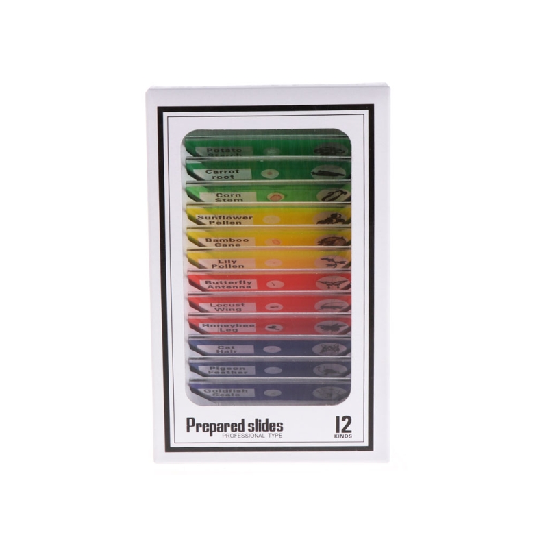 12 Pcs Prepared Microscope Slides Set Specimen for student Basic Biology Education