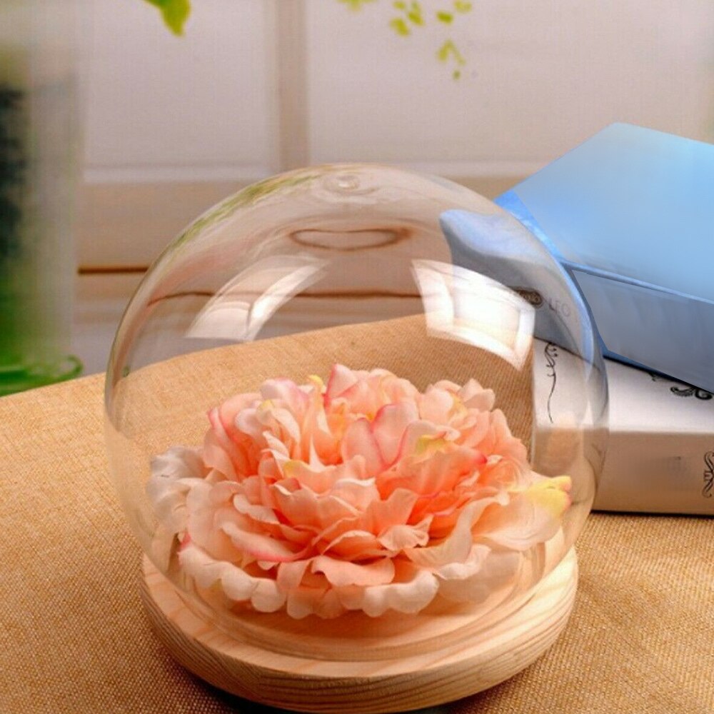 Clear Glass Display Bell Jar Dome Immortal Preservation with Wooden Base Flower Glass Cover Home Decor