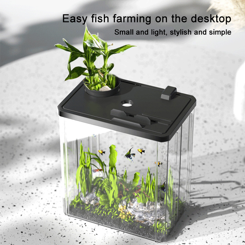 Acquari trasparenti in acrilico Plexiglass resistente agli urti Soggiorno su piccola scala Paesaggio Serbatoio ecologico Acquari e acquari