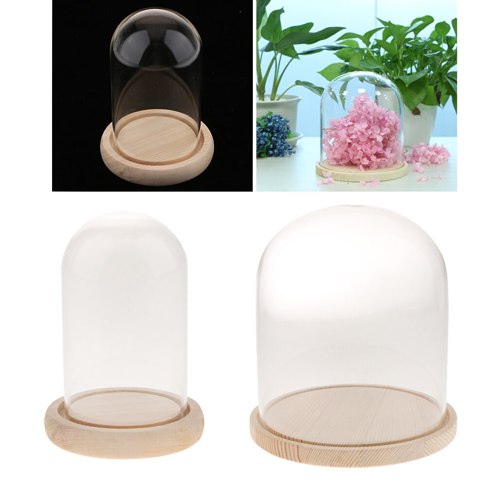 Domo de cristal de madera con Base de madera, cubierta de cristal, Uds.