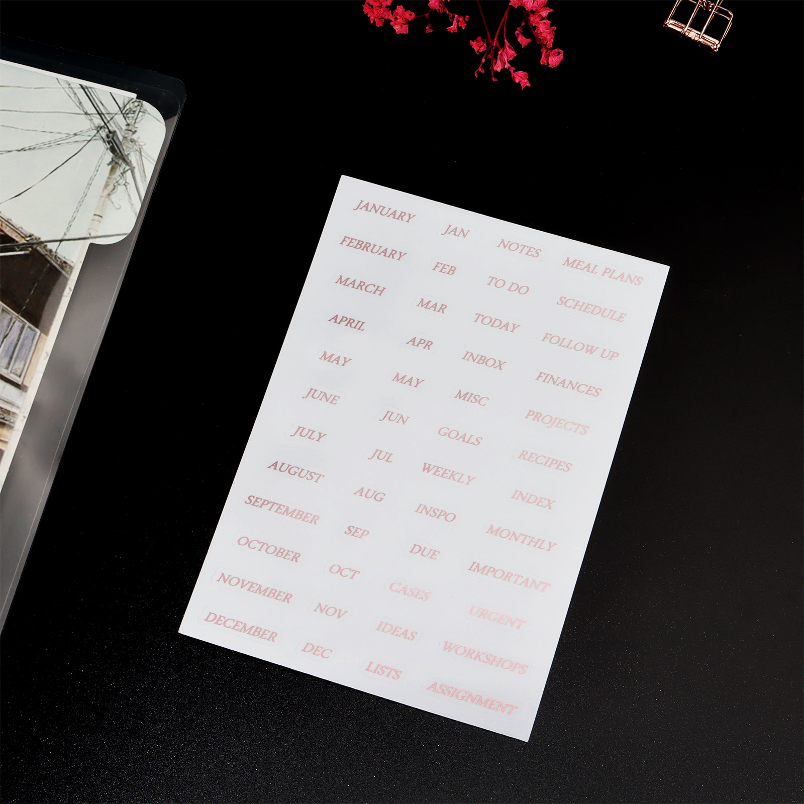 Sharkbang-separador de páginas para cuaderno, separador de índice de carpeta en espiral transparente, 6 agujeros, A5, A6, novedad: Rose gold sticker