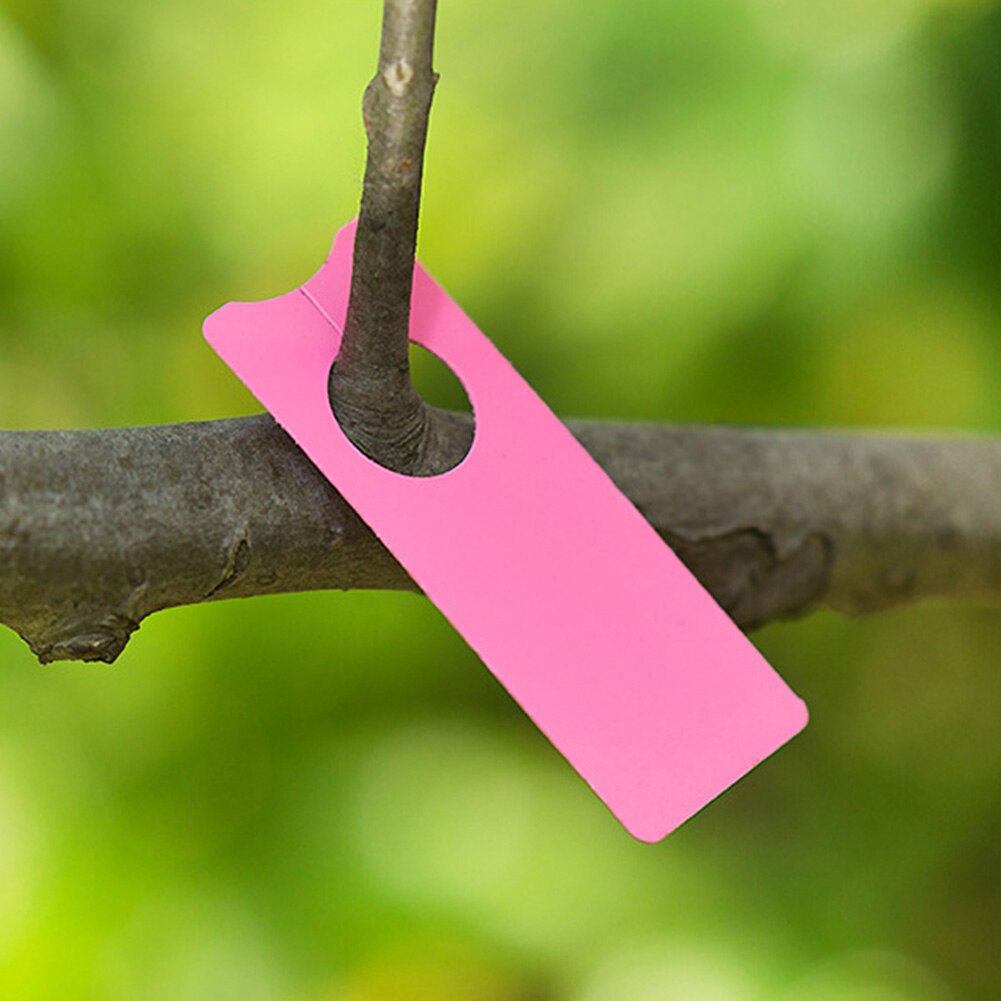 100 st plast växter taggar plantskola trädgård ring kruka markör påle hängande taggar växthus bonsai krage tags