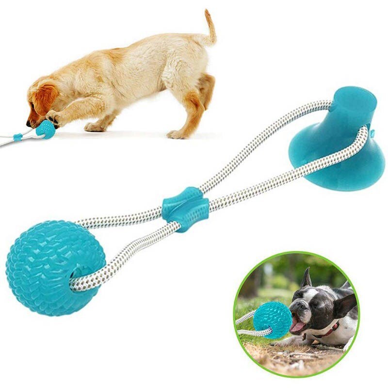 Kæledyrslegetøj med sugekop hund skub legetøj med tpr kugle kæledyr tand rengøring tygge gummi hund legetøj til små hunde gummi hund legetøj