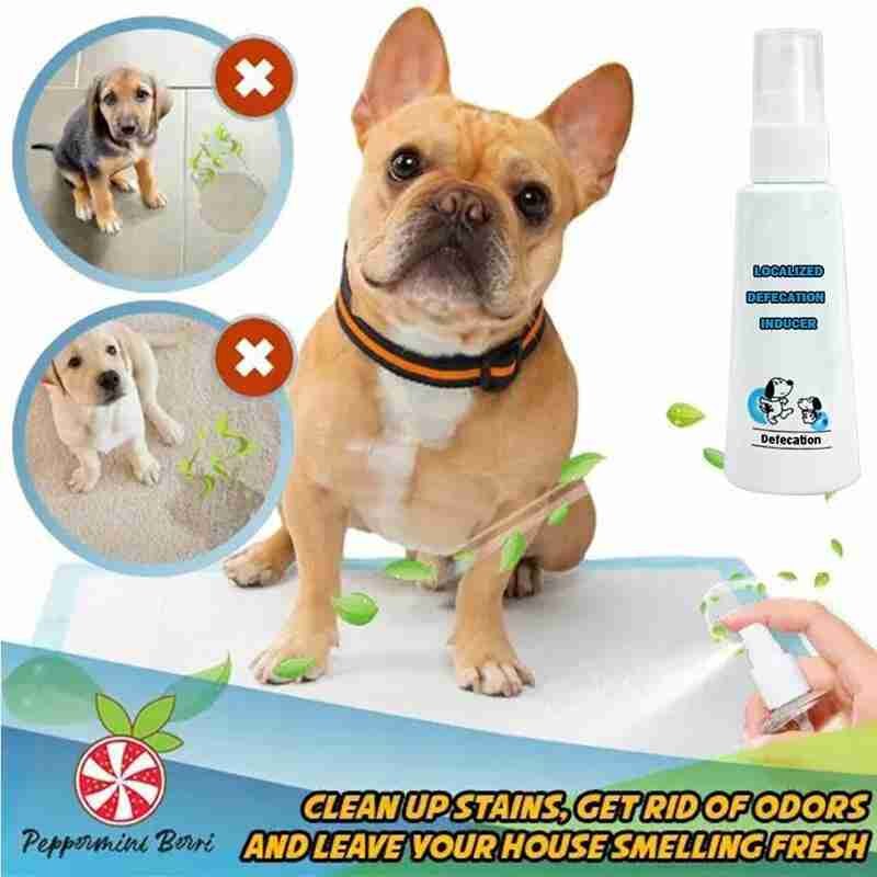 60 Ml Hond Specifieke Ontlasting Inductor Potje Puppies Positionering Regelmatige Huisdieren Vloeibare Lokstof Pee Training Wc Tool Spra N3N3