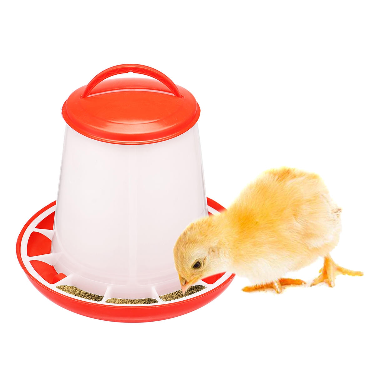 Chicken Feeder Drinker Chicken coop feeding Supplies Poultry Auto Drinking Fountains Farm Animal Food Water Accessories Tool