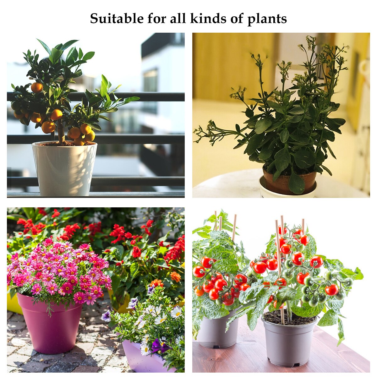 Reusable Plant Fruit Protect Net Bag With Drawstring Netting Barrier Bag Garden to Against Insects Pest Bird Mosquito ect