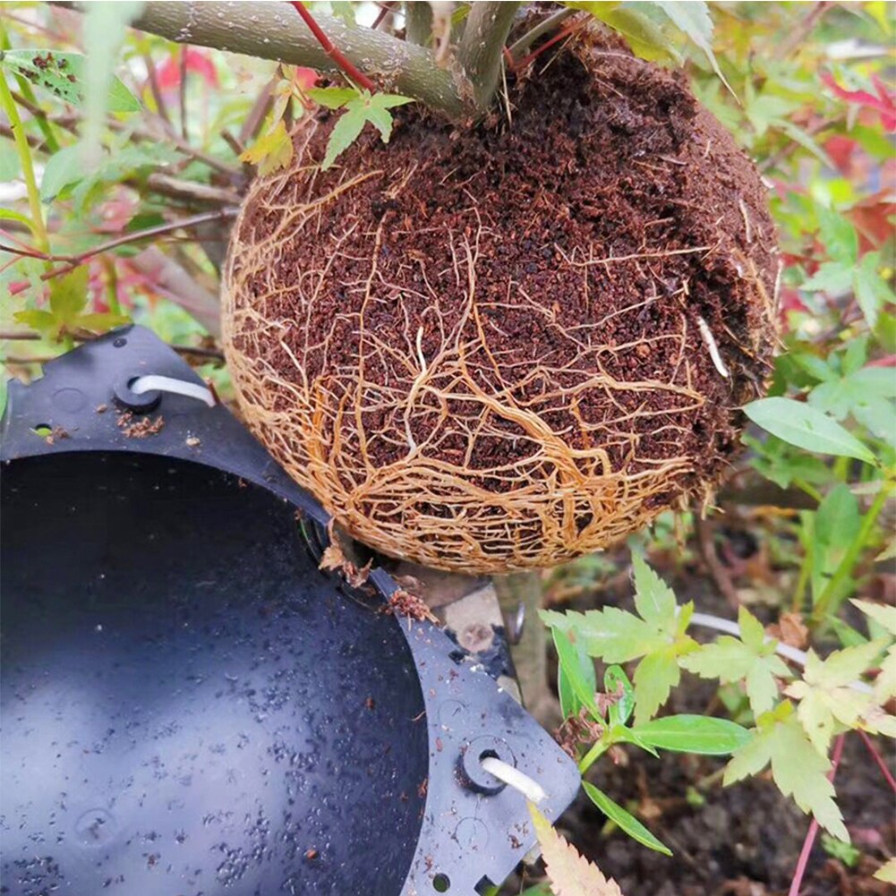 Box Plant Rooting Device Reusable Propagation Ball Indoor Outdoor Cutting Grafting Durable Air Layering Growing High Pressure