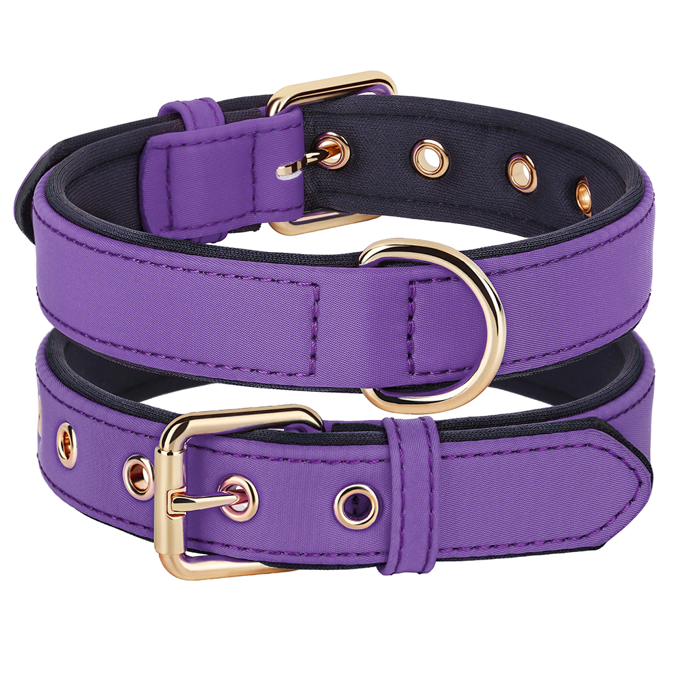 Collier en nylon imperméable pour chien, 8 couleurs, doux, rembourré, respirant, colliers pour animaux de compagnie, petits et moyens chiens, Chihahua, PDPDog, accessoires: L / Violet