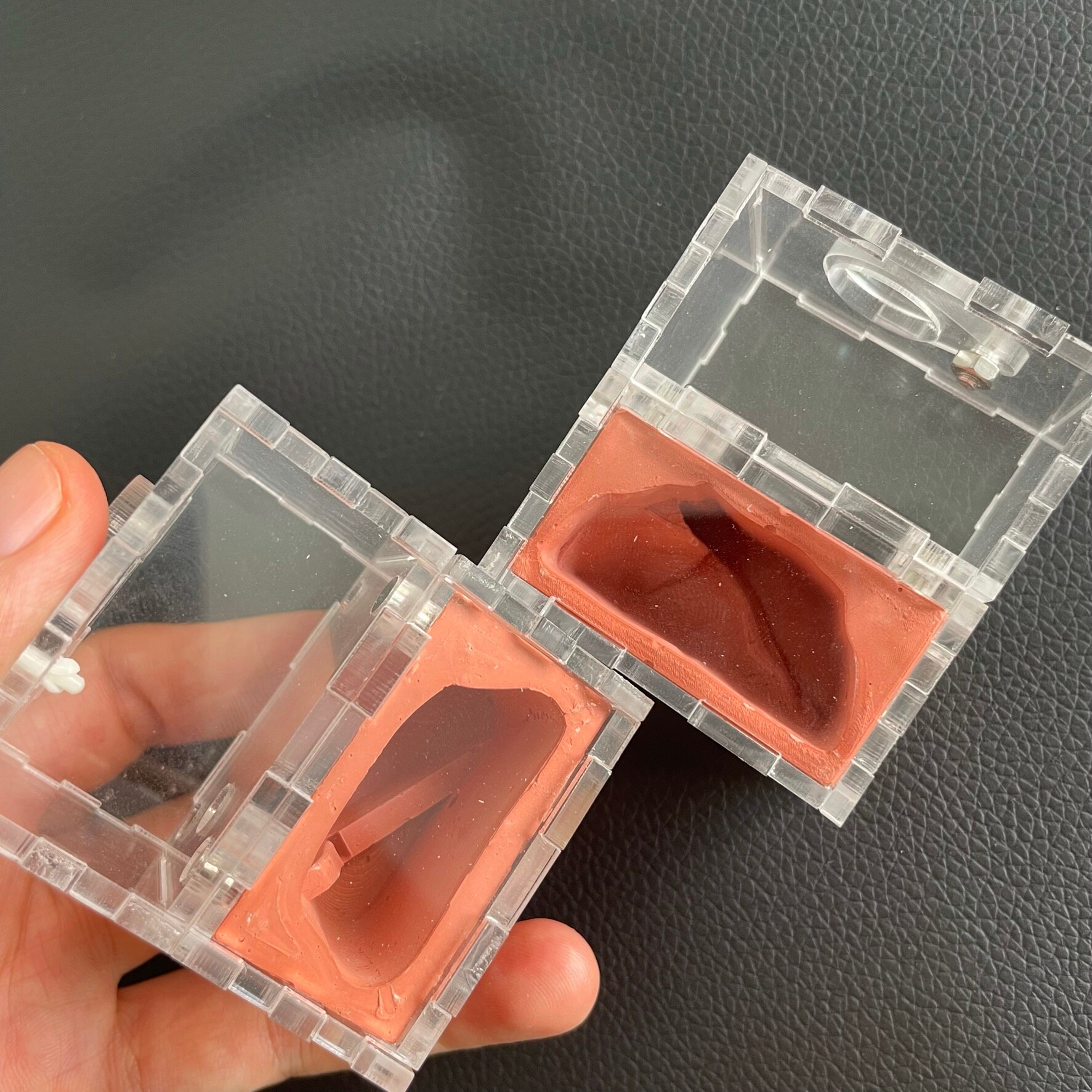 Large ant Ecological mini pocket hole ant castle,Acrylic Plaster Ant Nest Ants Farm Combo Hybrid Ant Formicarium box