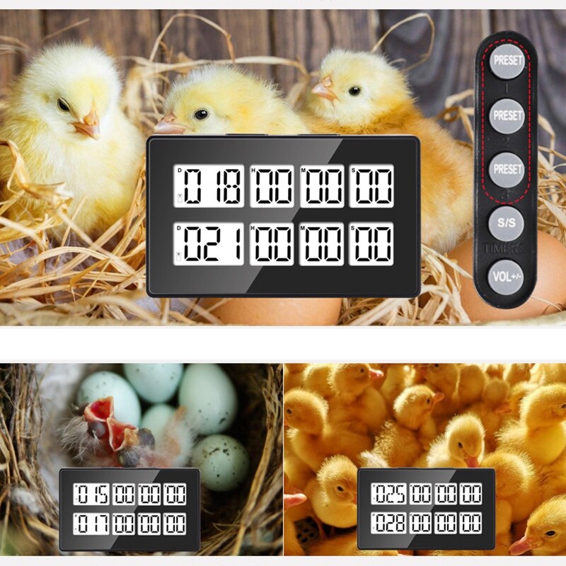 Dual Kitchen Timer Digital Timers for Cooking,2In1 Egg Timer Time Timer Clock Pomodoro Timer Countdown Timer for Kids