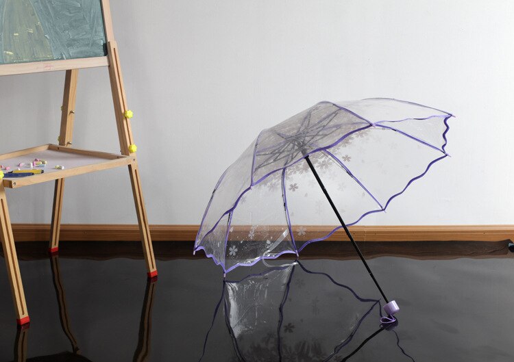 Anpassung von Prinzessin Regenschirm Werbung Regenschirm mit rean Klapp Apollo Transparent Arch und Drei Falten Regenschirm: Orange