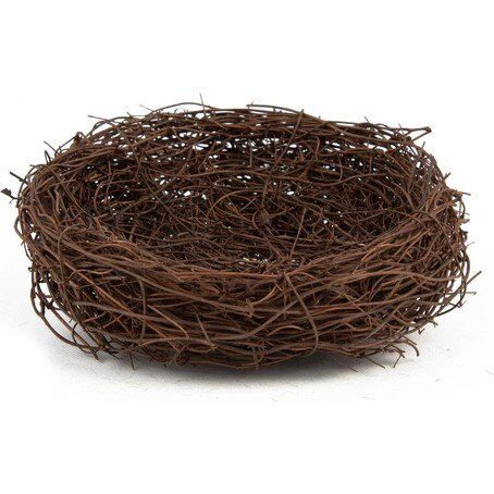 Arbusto Nido de Pájaro adorno de terrario 2*12 cm