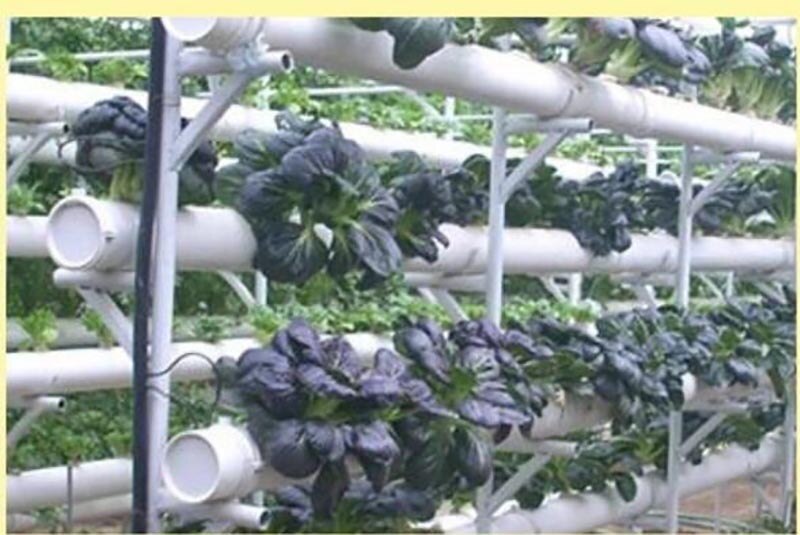 10 stk hydroponisk kolonisering mesh plante vokse pot netto børnehave kurv indehaver hydroponic aeroponic vegetabilsk plantning soilless
