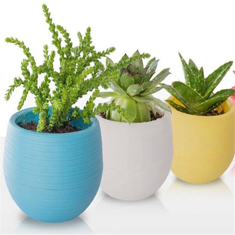Solid Mini Colourful Plastic Round Plastic Plant Flower Small Pot Garden Home Office Decor Planter