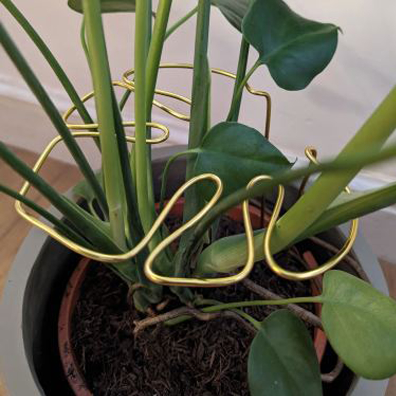 Monstera-formet plantestøttestang solid støttepinne i legering enkel montering dekorativ plantestativ for s/m plantetilbehør