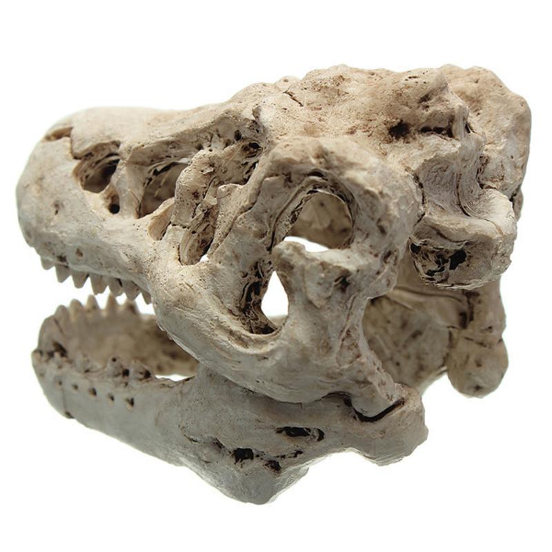 Aquarium en résine/Terrarium décoration crâne de Crocodile | Crâne de Crocodile pour réservoir de poissons, gland de résine