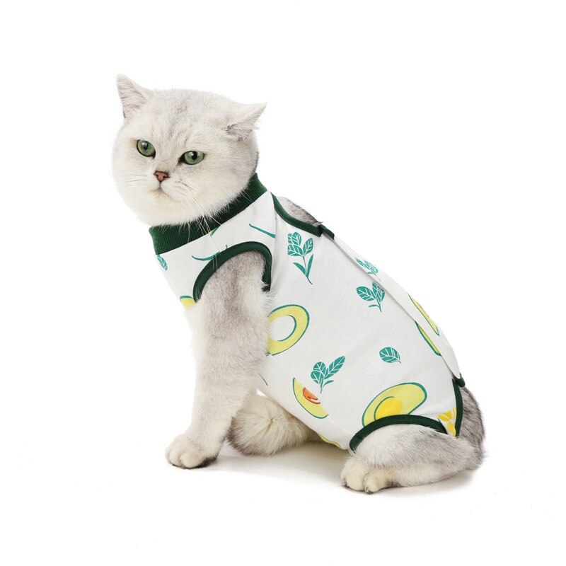 Vêtements de stérilisation pour chat, vêtements chirurgicaux Anti-léchage, vêtements de sevrage, doux, confortables et respirants, vêtements de soins pour animaux de compagnie