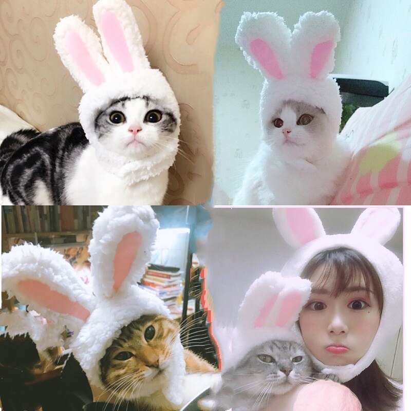 Gorro con orejas de conejo para gatos y perros pequeños, gorro de felpa con orejas de conejo, para Pascua, productos para mascotas, 2022