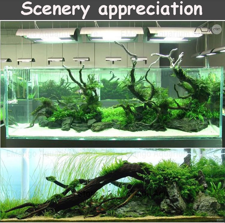 1/3/5 /10pc Aquarium Moss Glue Aquascaping Glue Diy Adhesive Glue Can Use In Water For Aquatic Plants Fish Tank Marine T