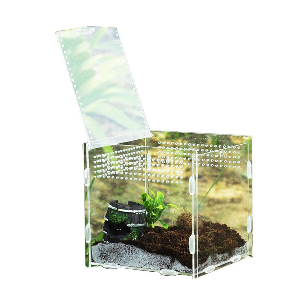 Gennemsigtig krybdyr avlsboks akryl fodringsboks 360 graders høj gennemsigtig magnetisk pet klatring terrarium på lager: 15 x 15 x 15cm