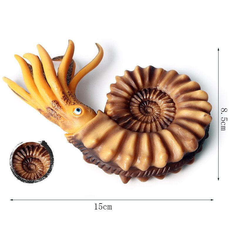 FBIL-Simulatie Mariene Leven Model Schelp Nautilus Shell Pop Decoratie